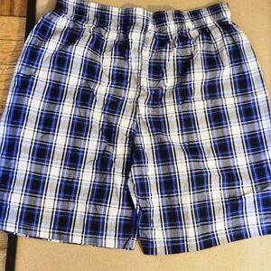Blue and White Plaid Shorts